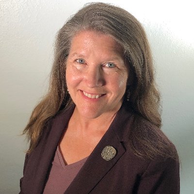 SassiKJ's profile picture. English professor, writer, mom, cross-country skier, reader, teacher.