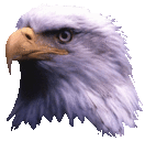 Jan Boon - @janboon007 - Twitter