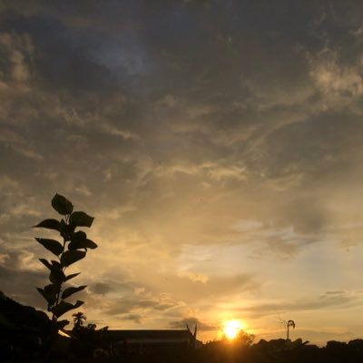 mY_vIsTa56's profile picture. 。