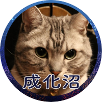 せし (@xiaobaijing1) 's Twitter Profile Photo せし (@xiaobaijing1) 's Twitter Profile Photo