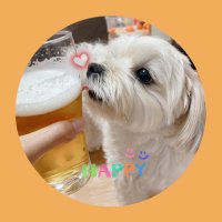 ムーちゃん☆ (@moochan_orange) Twitter profile photo