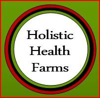 Doing projects related to food, gardens, and education, growing local food using organic methods, educating people on healthy food and healthy living