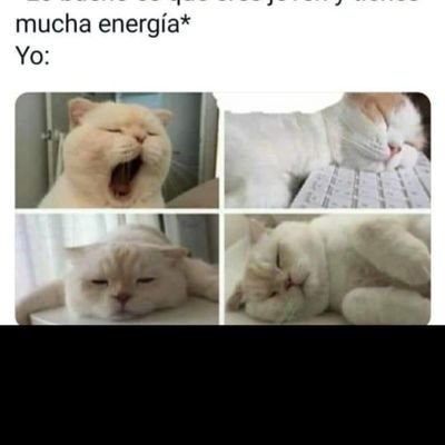 silentnotes01's profile picture. 