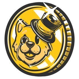 __ClassyXoge's profile picture. Sitting here on earth gathering resources and people to start building rockets 🚀 for no apparent reason at all. No tweet from this account is financial advice.