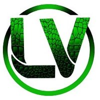 Lizard Valley Studio (@lizardvalstudio) 's Twitter Profile