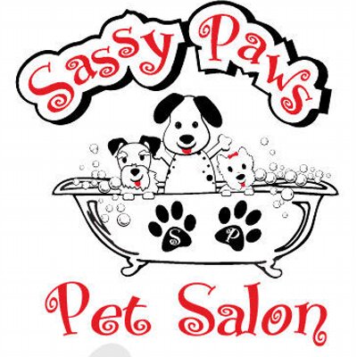 sassy paws pet salon