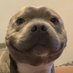 Cuchito (@cuchito004) Twitter profile photo Cuchito (@cuchito004) Twitter profile photo