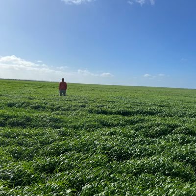 EP Sand Farmer 🌾 Contract Delving 🚜 Welding/Fabrication👨🏭 love trying to push the production limits on white sands in a low rainfall area.