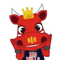 BULLZO(ぶるぞー)【公式】 (@bullzo2019) 's Twitter Profile