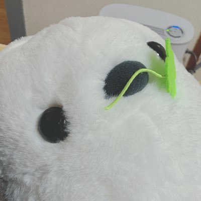 1231_noapi_'s profile picture. 性格悪いし愛着障害ですよ。はいはい。わかったわかった。