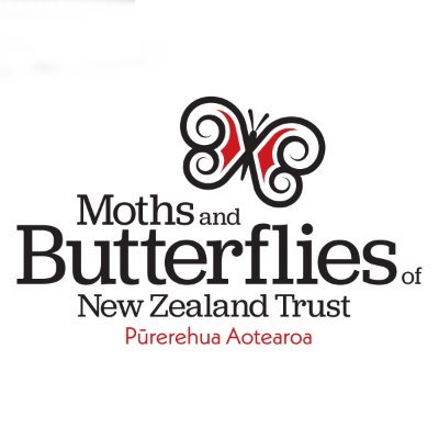 Our mission is to engage with New Zealanders to promote a thriving moth and butterfly population.