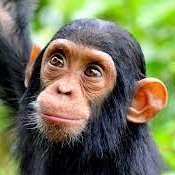 LaabidiZeineb's profile picture. 