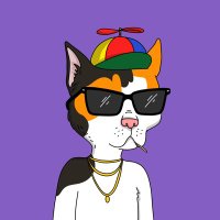 PhotheCultur3 (@phothecultur3) 's Twitter Profile Photo PhotheCultur3 (@phothecultur3) 's Twitter Profile Photo