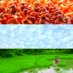 eGram Vishwagram Valsad (@egramvalsad) Twitter profile photo eGram Vishwagram Valsad (@egramvalsad) Twitter profile photo