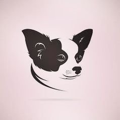 We will be posting daily photos of Chihuahua dogs.
So if you are Chihuahua dogs fan don't forget to follow us.