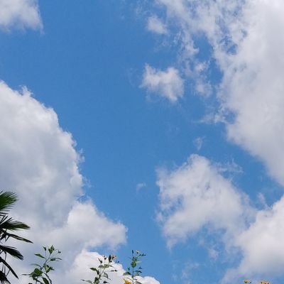 miipo10_ckr8's profile picture. 