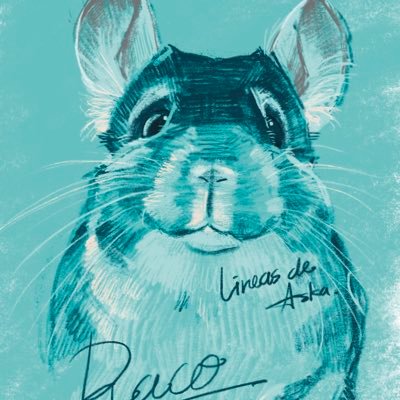 残念すぎる飼い主と可愛すぎるチンチラ🐭お名前は「らこ」🐭(2021/2/3~)お誕生日は8/1(仮)🐭 らこと飼い主はふたり暮らし🍀一応人間のアカウントですのでご注意ください🙂 アイコン:Askaの紙上絵(@lineasdeaska)さんです😊