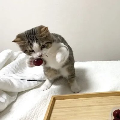 callstone3's profile picture. doctor