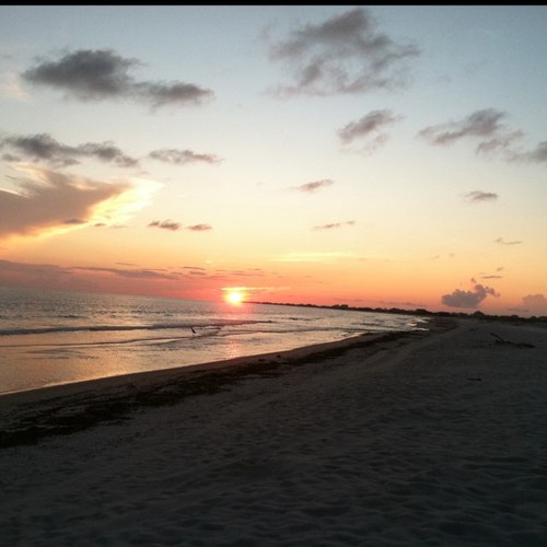 RobMullis78's profile picture. Ummmm....WUT MEAN