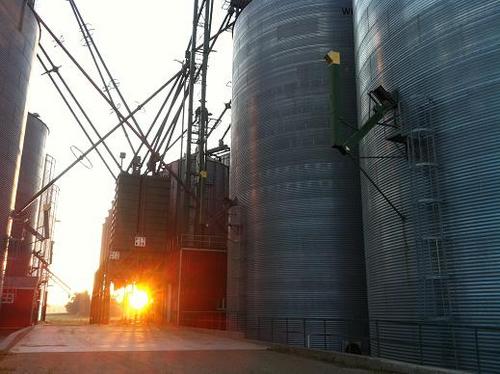 Full service, family owned grain elevator in Mid-Western Ontario offering competitive pricing to producers across the province