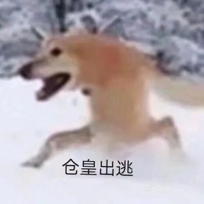 正月初酒さんのプロフィール画像