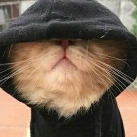 hamisbluecloud's profile picture. RNO|| Health advocate||Movie monger|| ||Enterpreneur||Simba Fan|| Phone&accessories dealer|| ITlearner