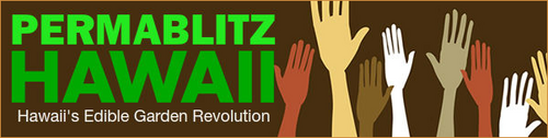 PermablitzHI's profile picture. PermablitzHI is a grassroots movement restoring Hawaii's food security one backyard at a time.