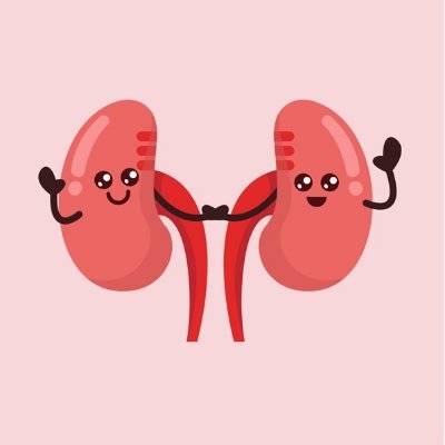 UHNMRenalDiet's profile picture. Official Twitter account of the UHNM Renal Dietitians
https://t.co/6vheLGheDL