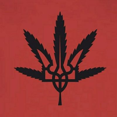 uncleyura3's profile picture. Слава ЗСУ!