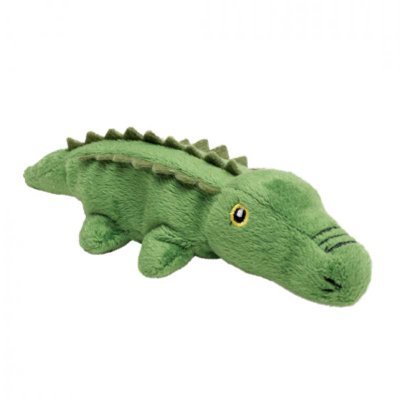 tinycroc12's profile picture. 