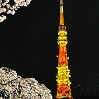 JamesQU@PlatON (@metatechtokyo) 's Twitter Profile