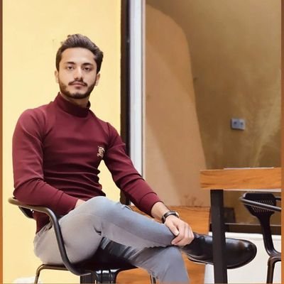 Hamedh12332's profile picture. .