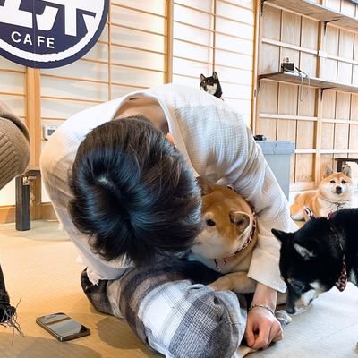🛒 ㅡ mainly for #정한, #재현, #찬열, and others ˙ᵕ˙ || bns/fan account
