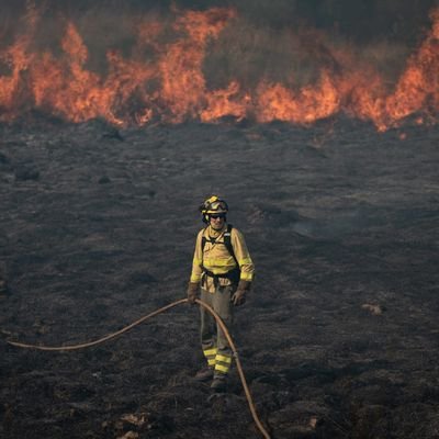 🎓 Ingeniería Forestal y del Medio Natural.                                Bombero forestal.