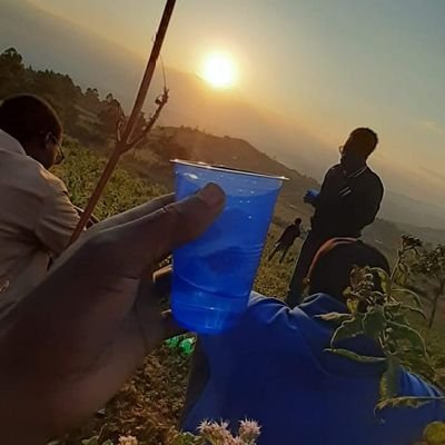 TheuriSidney's profile picture. ..