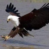 مرتض التميمي (@altmymymrtd) Twitter profile photo