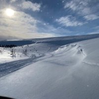 Chris (@cppatey) 's Twitter Profile