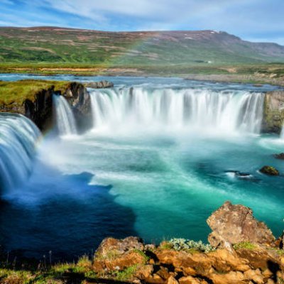 FossGull's profile picture. 