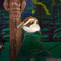 bruteforce-works (@bruteforcew) 's Twitter Profile
