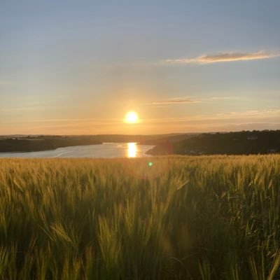 MontHODL4lyf's profile picture. Bread and circus
