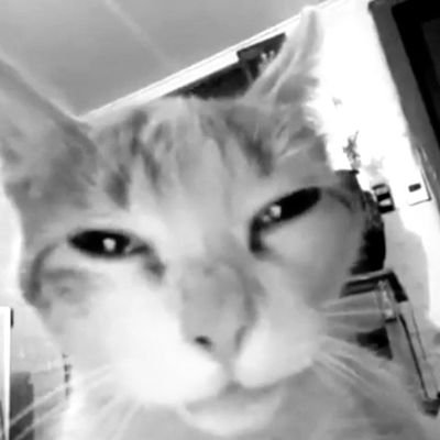 OfficialFren99's profile picture. Ask me anything & I'll give you an honest answer