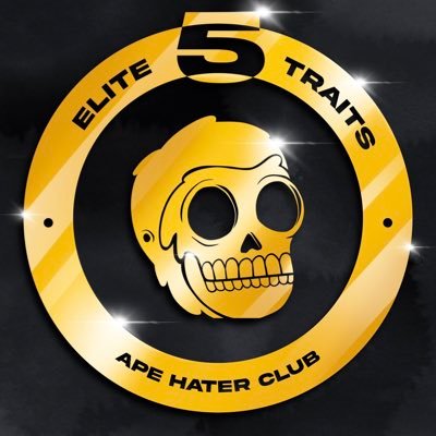 5 Traitsさんのプロフィール画像