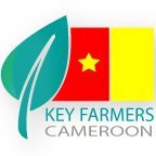Key Farmers Cameroon is a non-profit rural development and humanitarian organization which carries out activities in many areas in Cameroon.