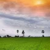PROU INDIAN❤️ 🇮🇳
A KIND PERSON'S QUALITY IS TO BE NICE WITH EVERY ANIMALS, NATURE, AND HUMAN BEING 🙂❤️