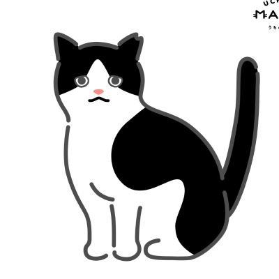 indez's profile picture. Assalabia Colombia  🍐🐶🌈💞⛵💛🤍💙❤