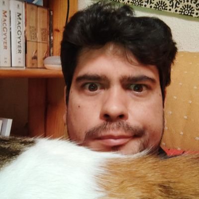 Drodrisan's profile picture. Politólogo, Confección y creación de páginas web, Presidente de la Asociación Cultural @RadiamosCollado Mediano, Socio de @Amnistiaespaña.
