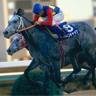 kz1gxlBfiJEZQFg's profile picture. 西武ファン オグリキャップファン 麻雀好き セガサミーフェニックスファン🦅🔥