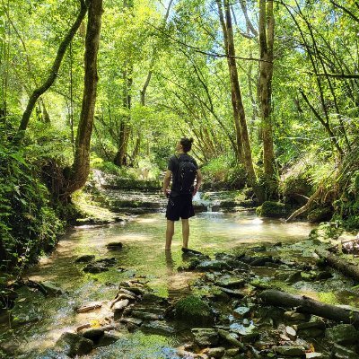 oni_dev's profile picture. Front-end developer