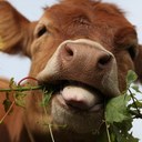 Scott Ingham - @scottjigjigjig - Twitter