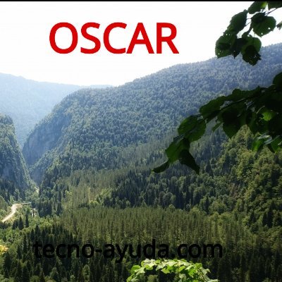 OscarLi28371332's profile picture. Solamente se publica contenidos relacionados con la Informática: Windows, Apple, IOS, MAC además de Wordpress, redes sociales, crypto